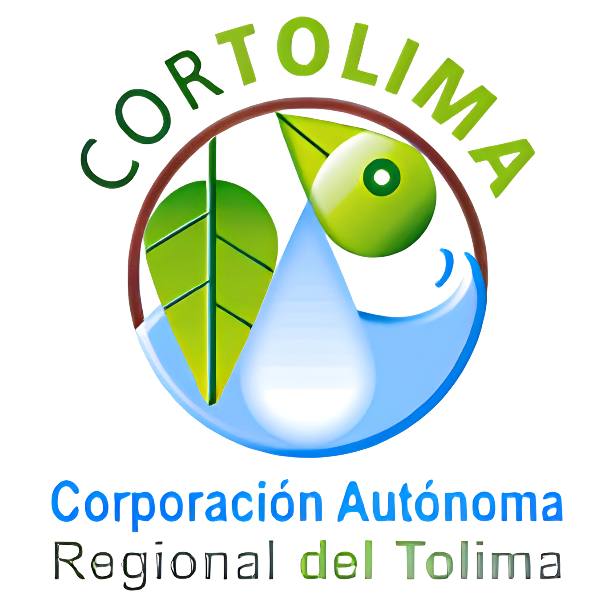 Cliente 12