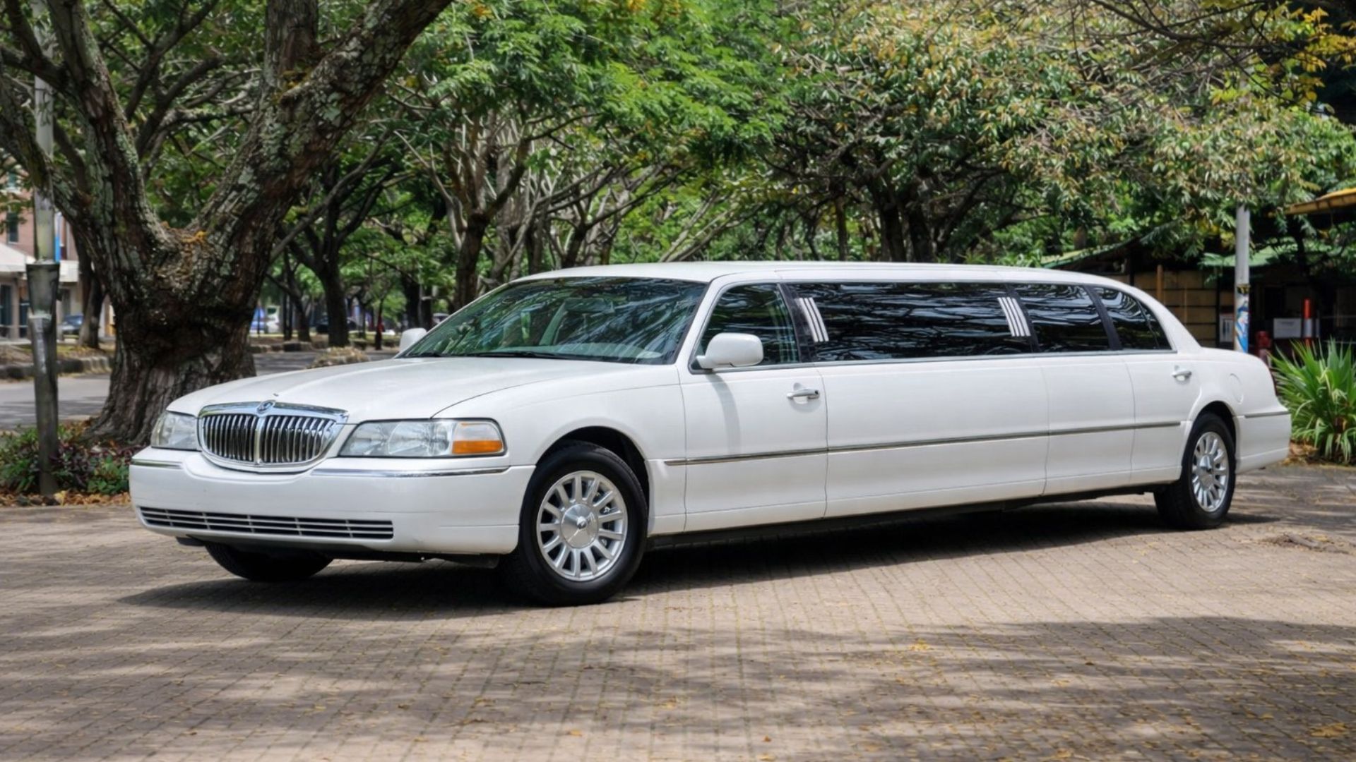 Servicio VIP
