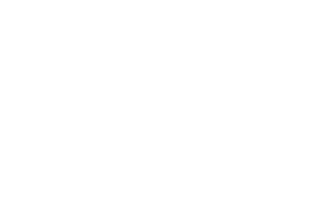 Logo FSG S.A.S.